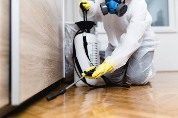 Best Wasp Removal Services  in East Flat Rock, NC